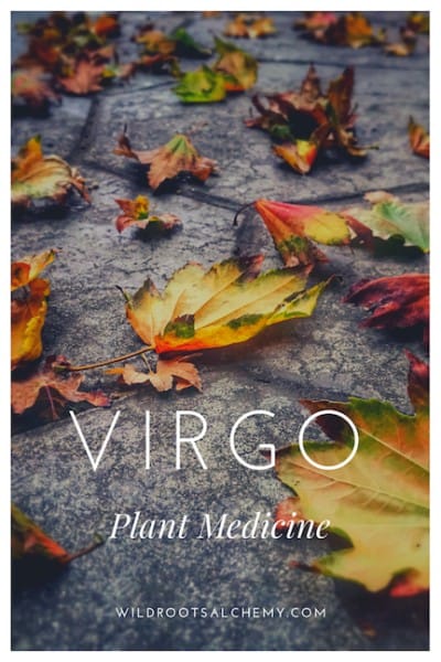 Virgo Plant Medicine