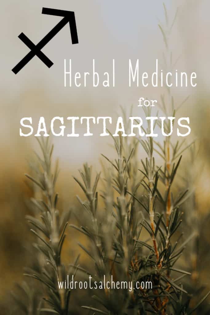 Learn about the organ systems and energetics correlated with Sagittarius, and which herbs can best support all of us during this season.