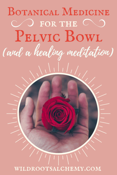 pelvic floor botanical medicine