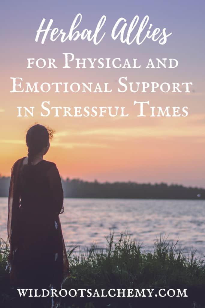 Herbal Allies for Physical and Emotional Support in Stressful Times