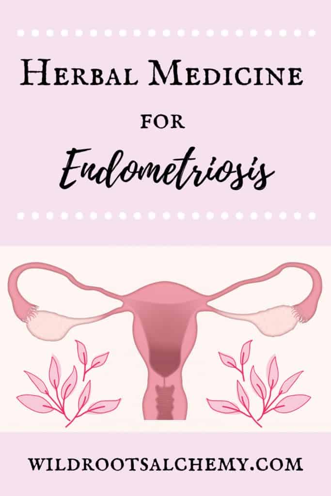Herbal Medicine for Endometriosis