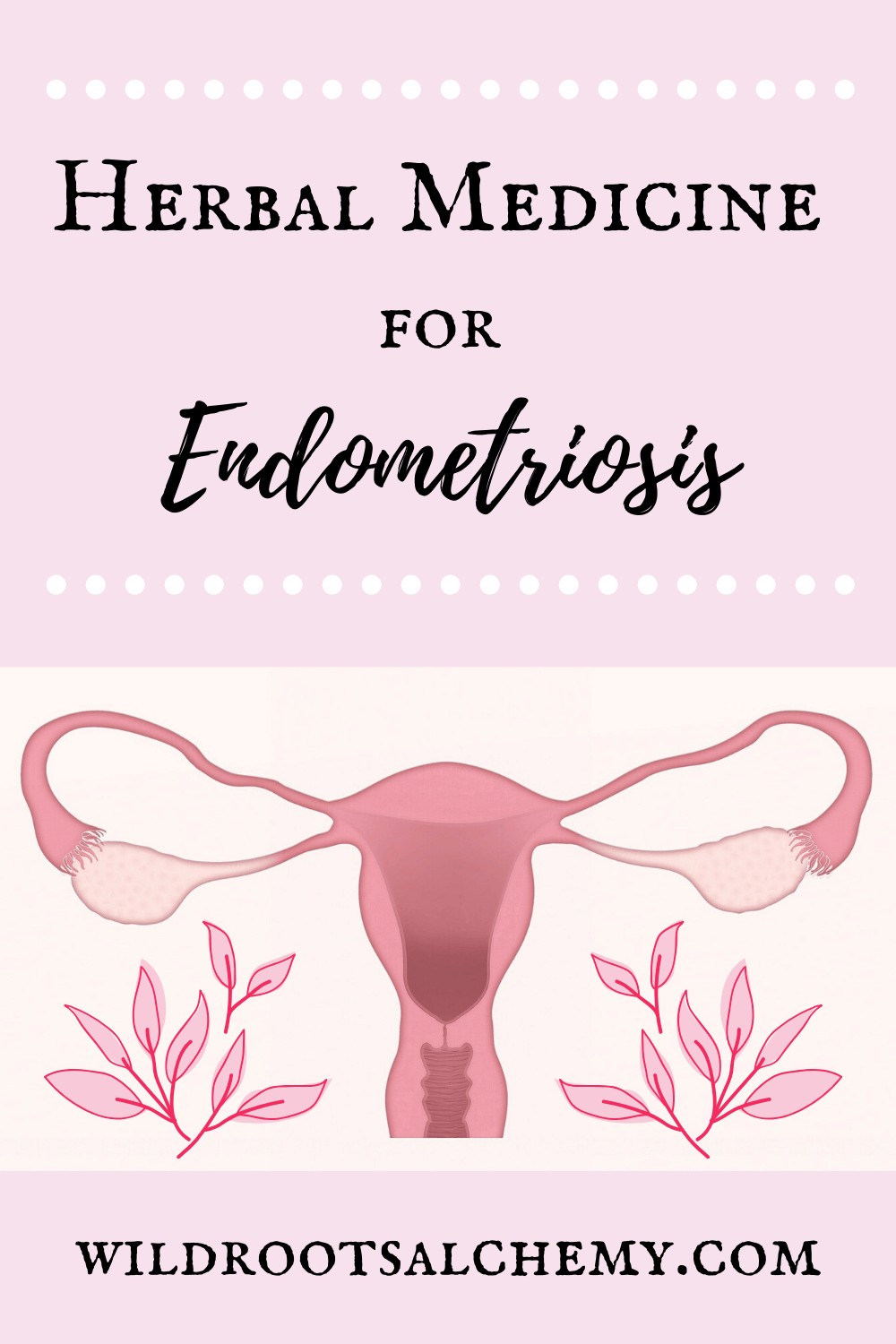 Herbal Medicine For Endometriosis Wild Roots Alchemy