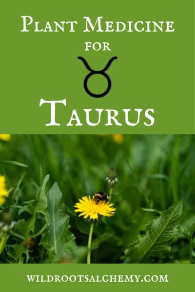 Taurus Plant Medicine