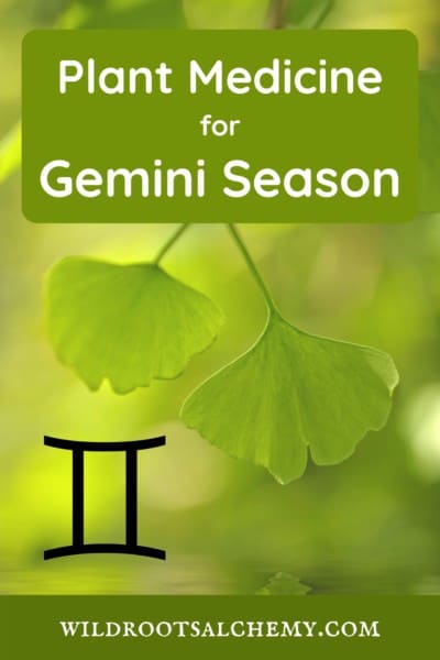 Gemini Plant Medicine