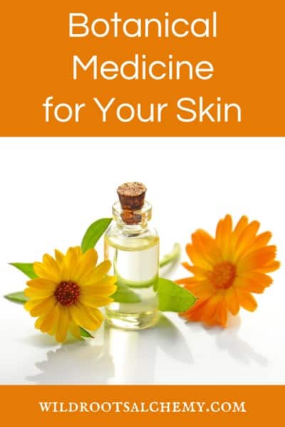 botanical medicine for your skin skincare for acne