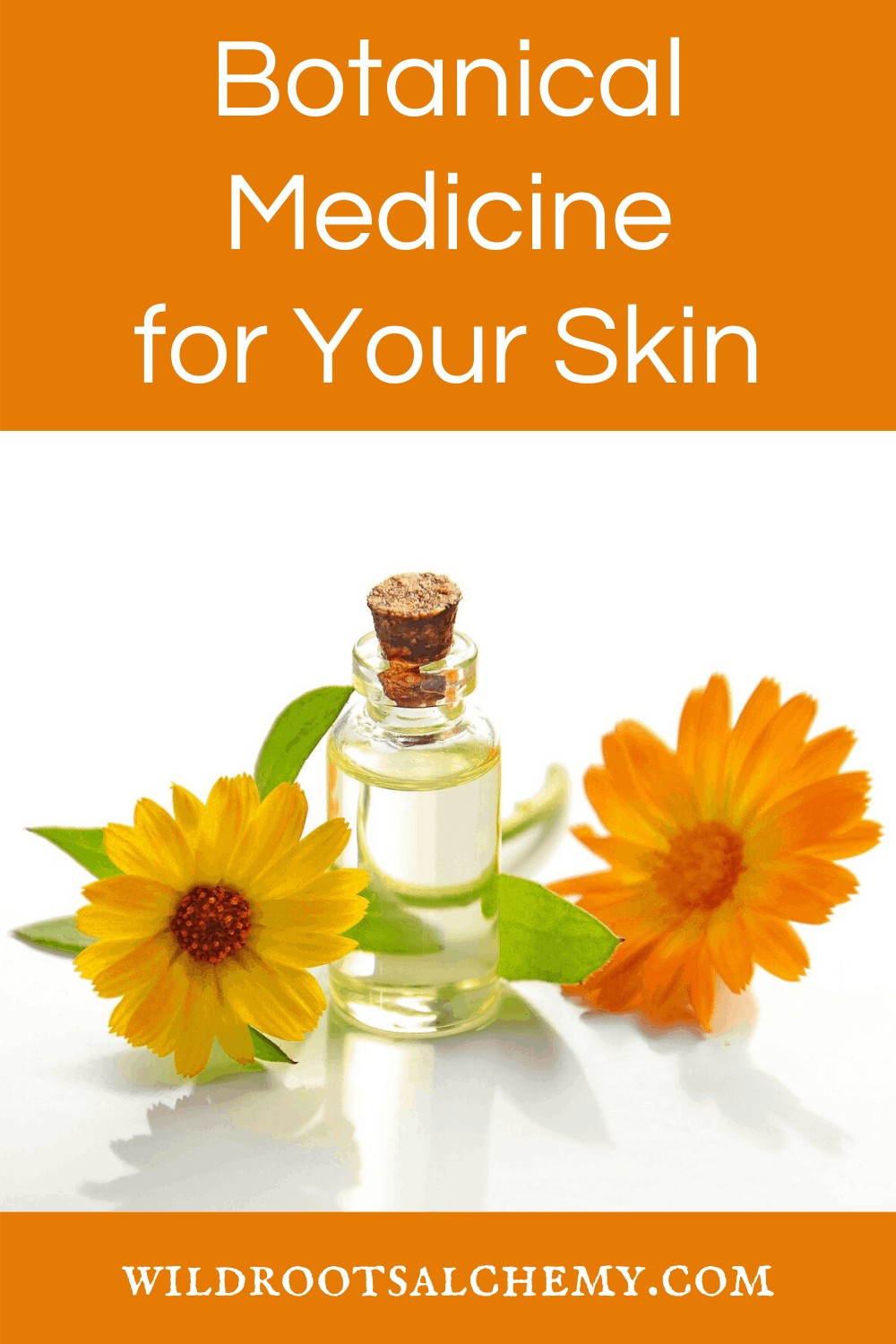 Botanical Medicine for Your Skin - Wild Roots Alchemy