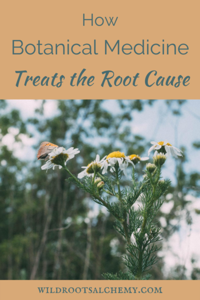 botanical medicine treats root cause of disease