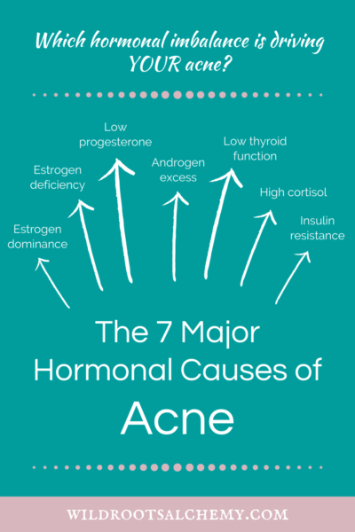 The 7 Major Hormonal Causes Of Acne Wild Roots Alchemy