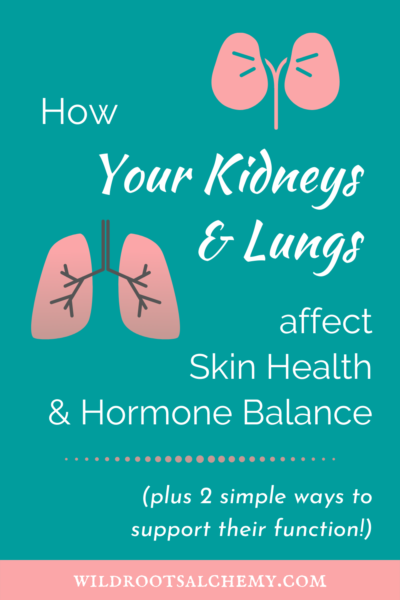 kidneys lung emunctories skin hormonal health