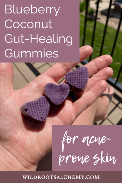 blueberry coconut gut-healing gummies acne prone skin