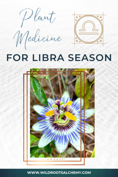 holistic plant medicine for libra season