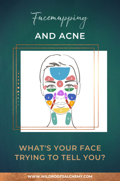 facemapping acne what's your skin trying to tell you